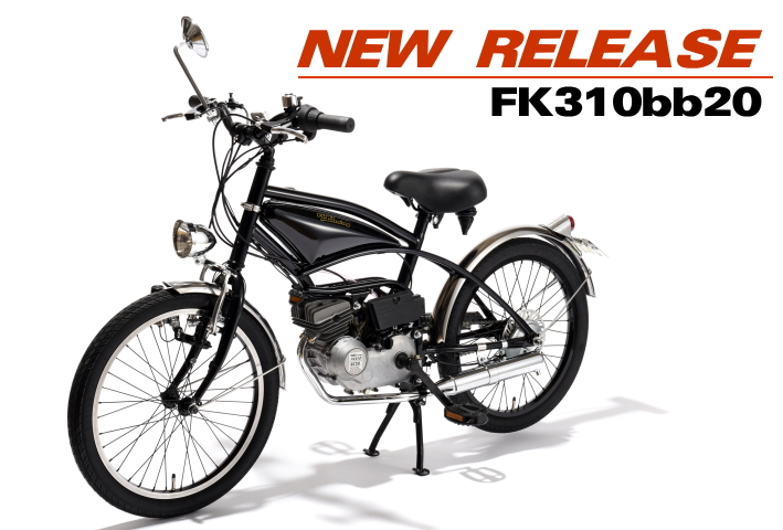 FK310bb20